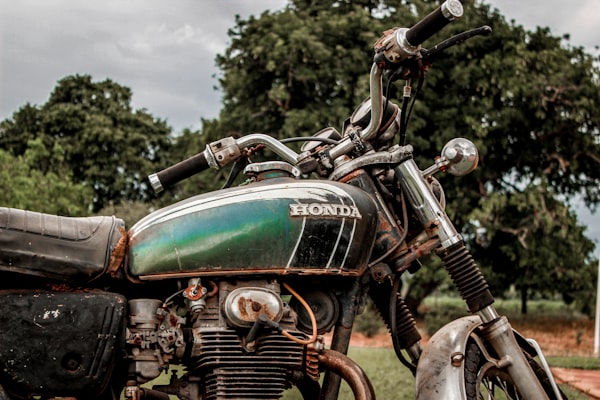 Motorcycle by trees